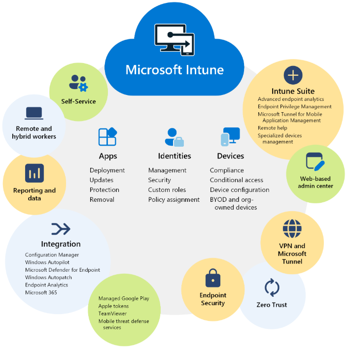 Setting up Microsoft Intune